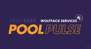 Pool Pulse Issue #1